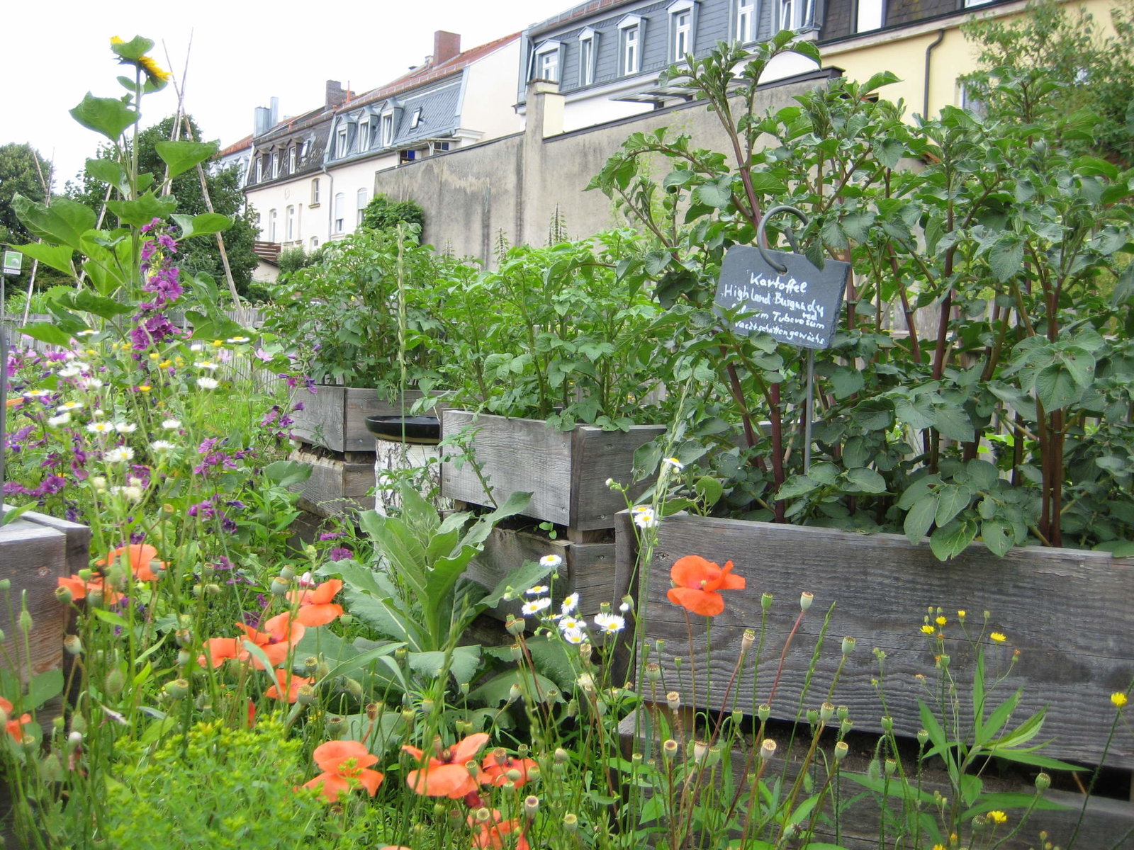 Hochbeete im Garten